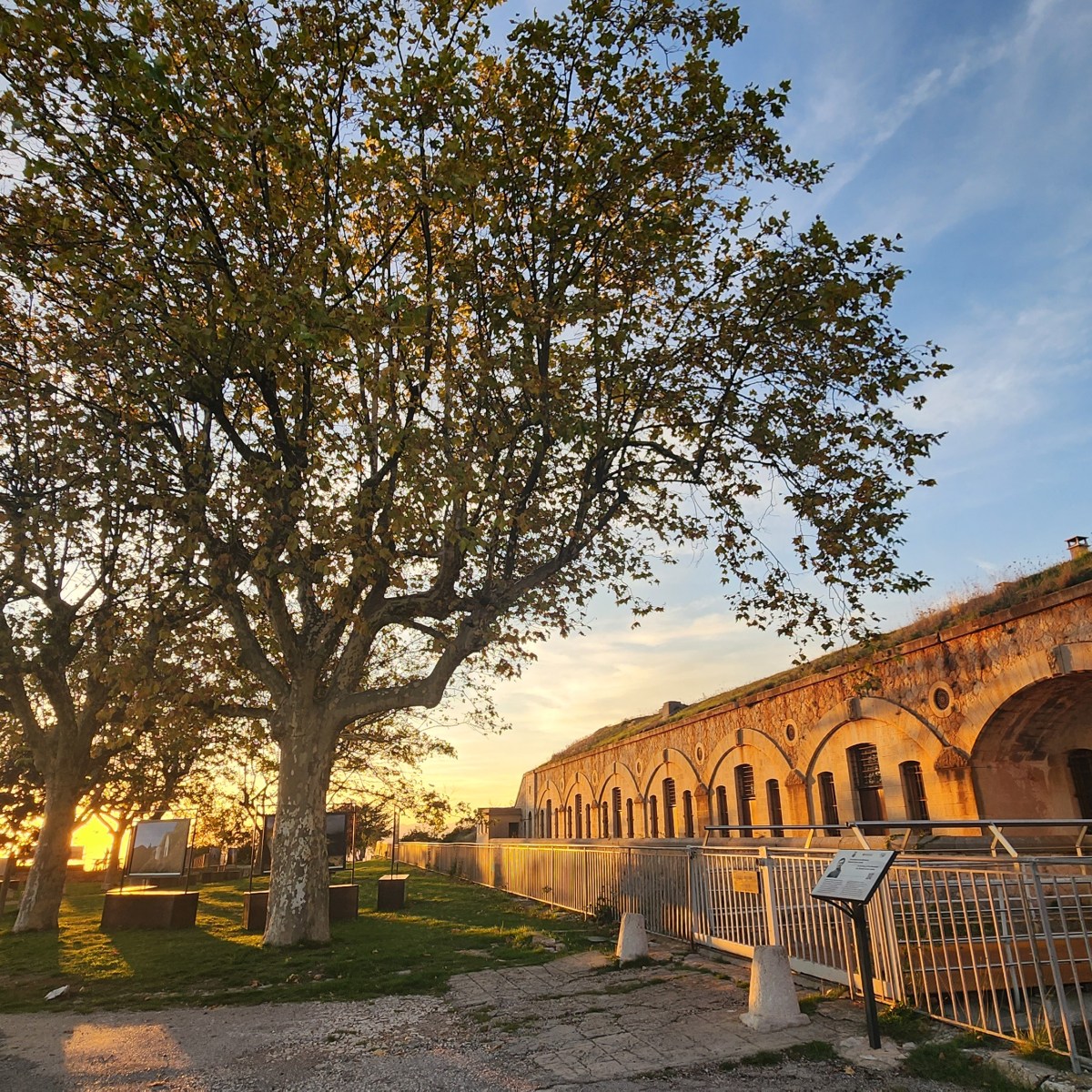 The Sunday Currently