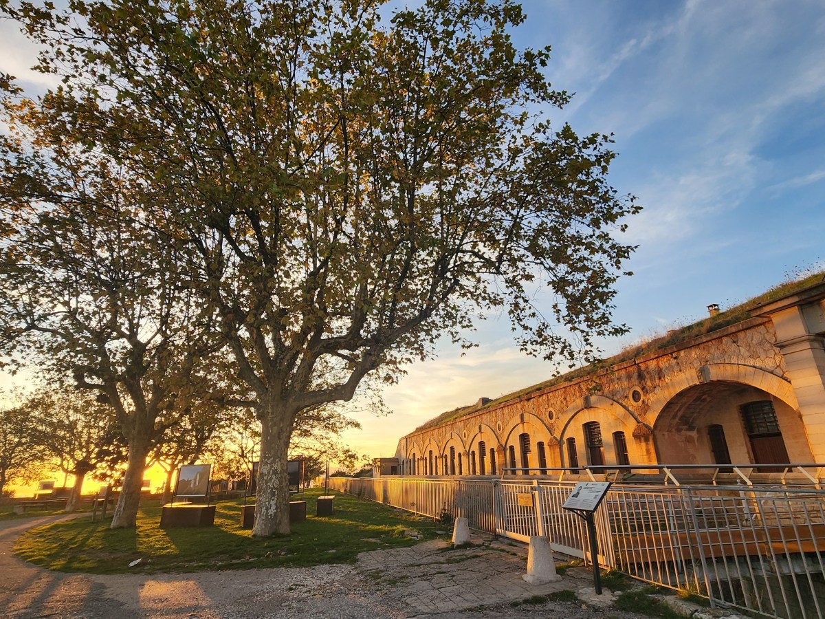 The Sunday Currently