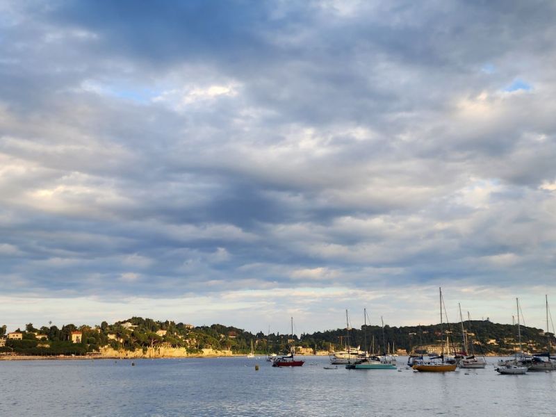 The Sunday Currently