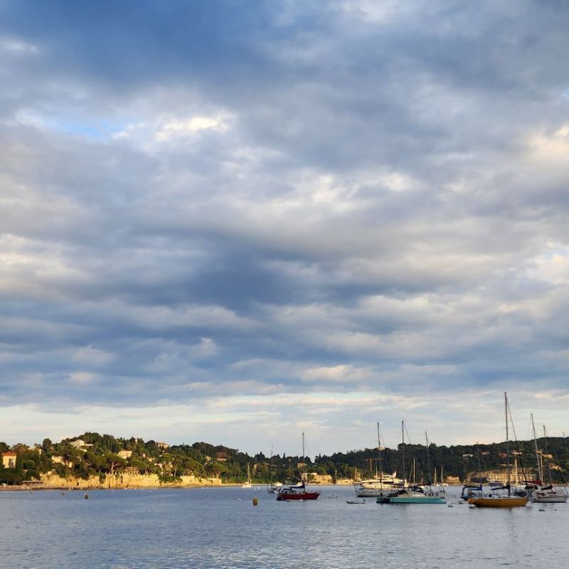 The Sunday Currently